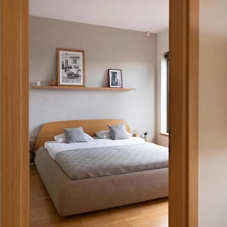 2 Bedroom With Balconies Apartment Druskininkai